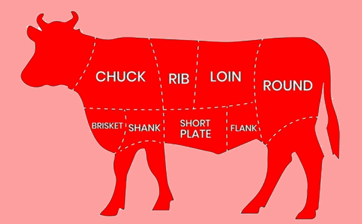 Different Cuts Of Cows