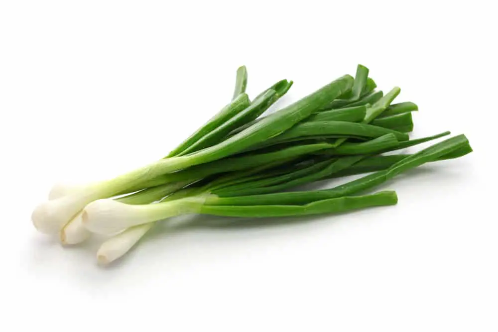How to Prepare Green Onions for Cutting