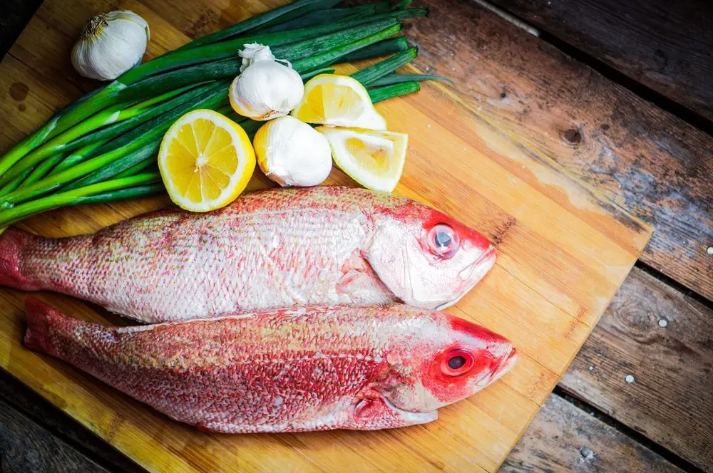 How to prepare and cook red snapper
