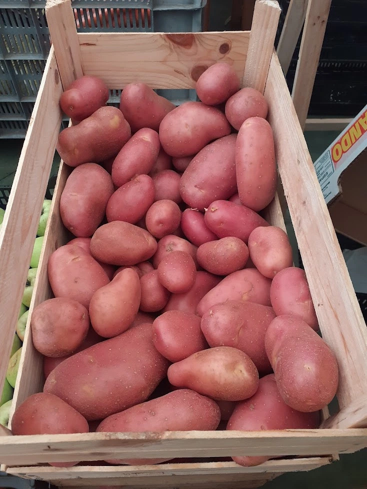 https://kitchenaries.com/wp-content/uploads/Red-potatoes-are-typically-red.webp