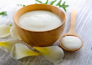 Sour Cream Substitute for Yogurt