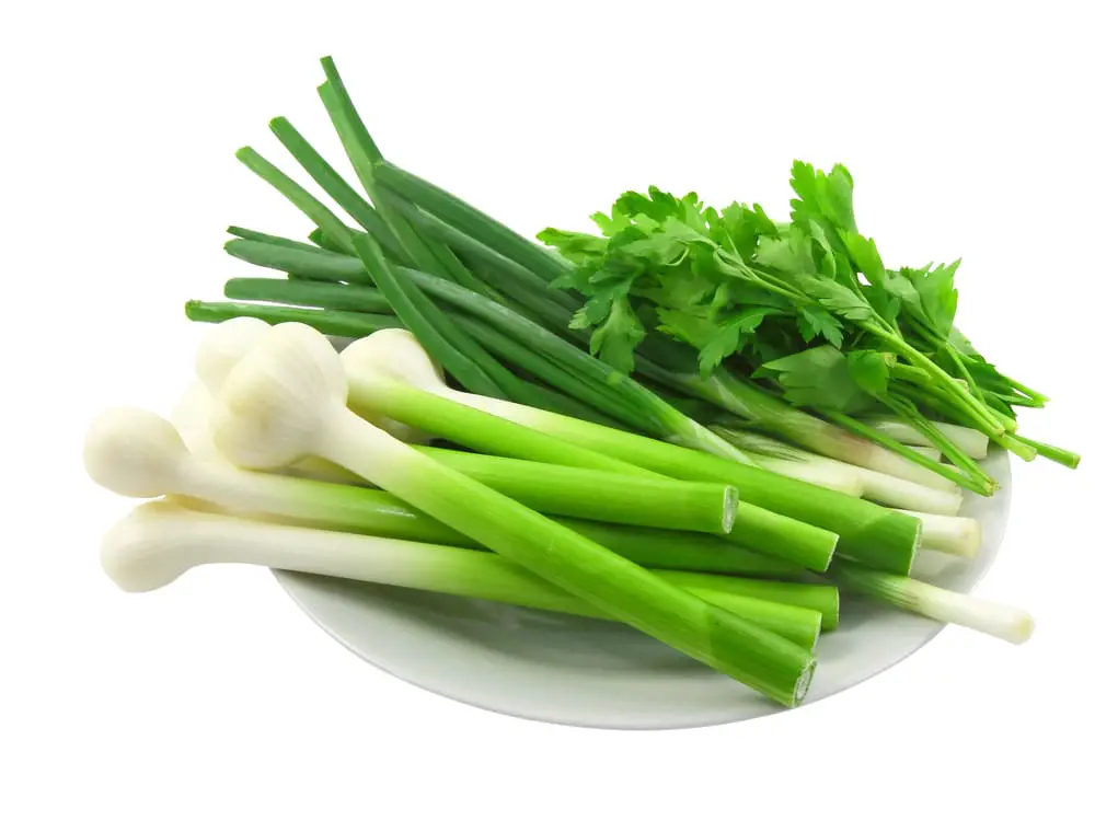 How To Prep Green Onions