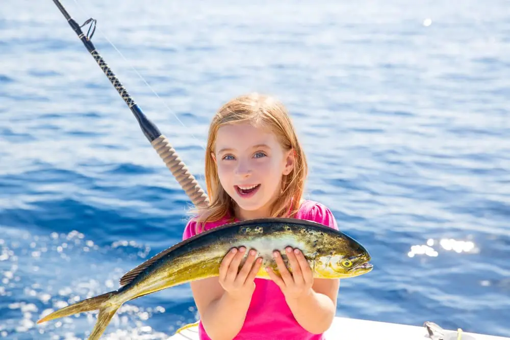 What Does MahiMahi Taste Like? Ultimate Guide On MahiMahi