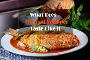 What Does The Red Snapper Taste Like