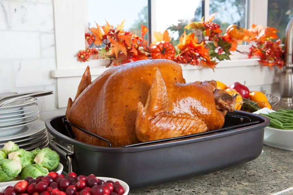 Top 5 Best Turkey Roaster Oven Reviews 2022 & Buying Guide