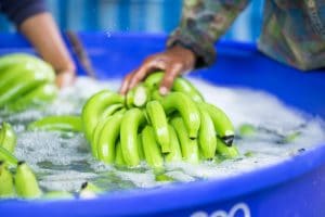 green banana lime bath