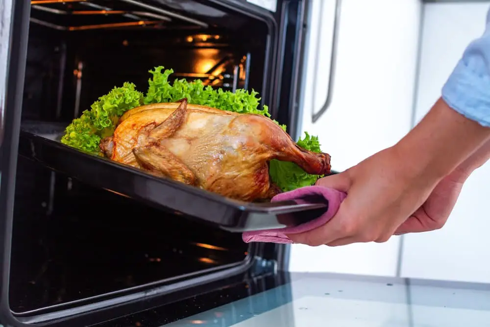 how to choose the best turkey roaster